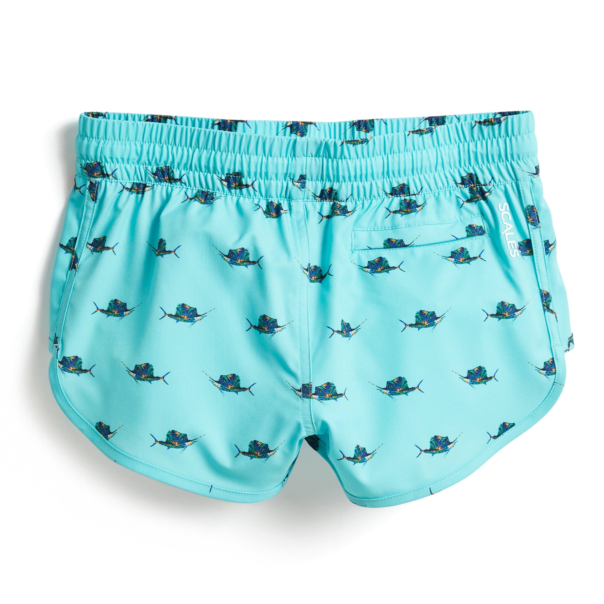 Fly Sail Seafoam Womens Boardshorts – Scalesgear.com